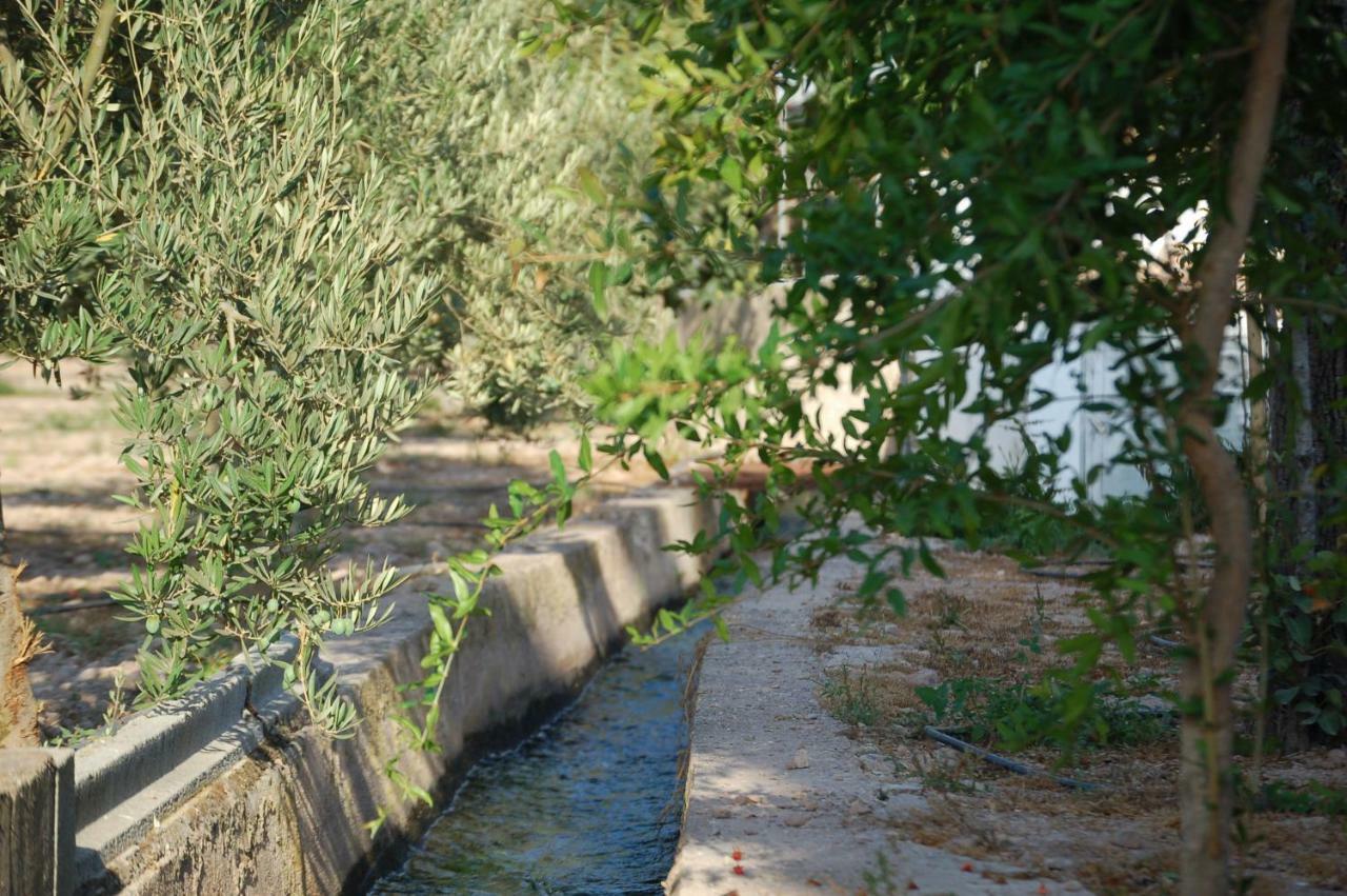 Cortijo Andaluz Dona Adela ξενώνας Αλμερία Εξωτερικό φωτογραφία